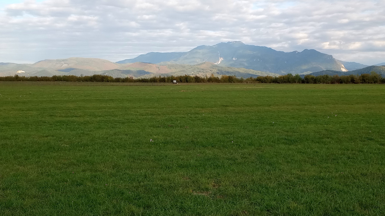 Teren intravilan la iesirea din Tohanu Nou spre Zarnesti