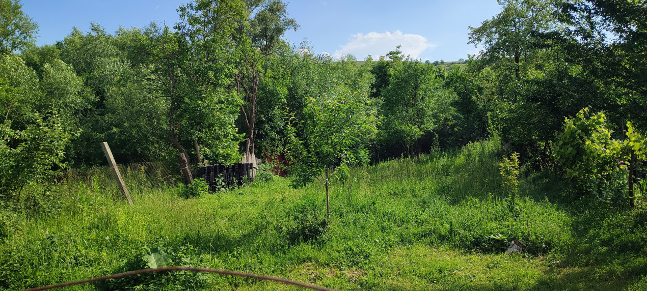 Casa în Ruși 