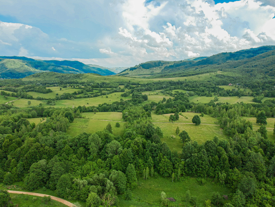 Teren în inima naturii, ideal pentru cabane tip glamping, Șinca Nouă