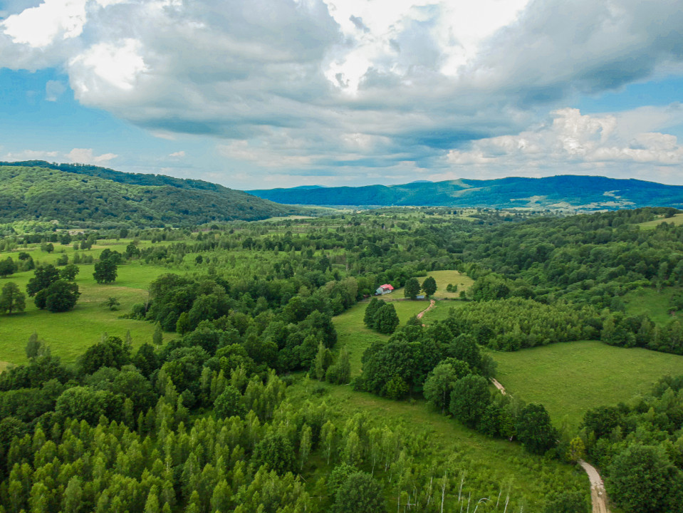 Teren în inima naturii, ideal pentru cabane tip glamping, Șinca Nouă