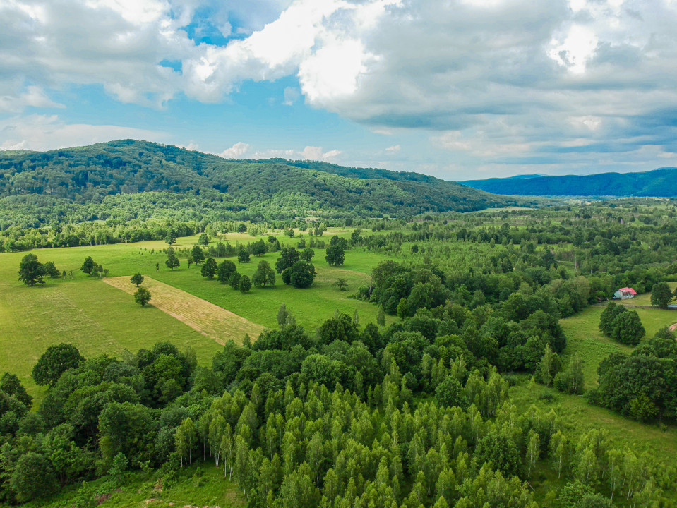 Teren în inima naturii, ideal pentru cabane tip glamping, Șinca Nouă