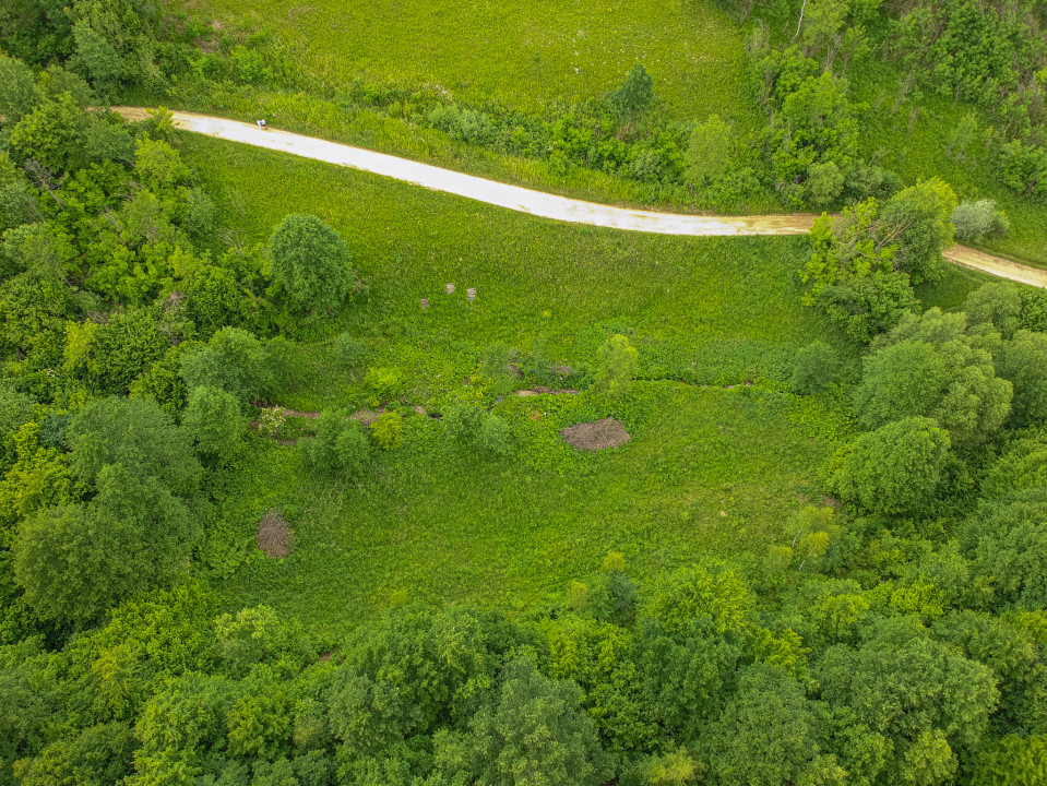 Teren în inima naturii, ideal pentru cabane tip glamping, Șinca Nouă