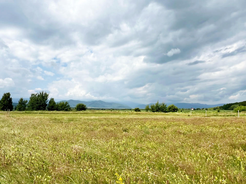 Teren Intravilan 438 mp cu PUZ în Sibiu, Zona Turnișor