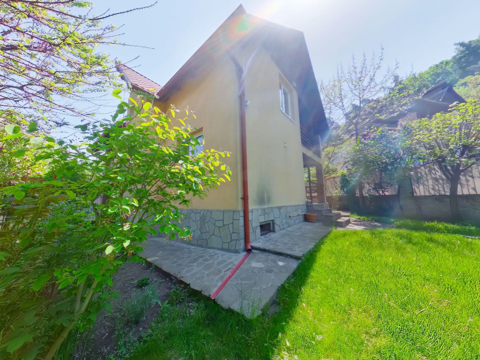 Locatie de vis la marginea padurii, str Carierei