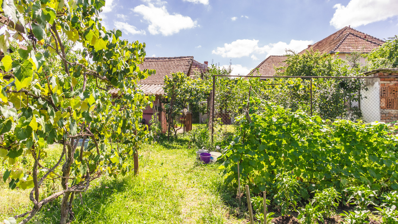 Casă individuală de vânzare str. Cărămidăriei, Sibiu