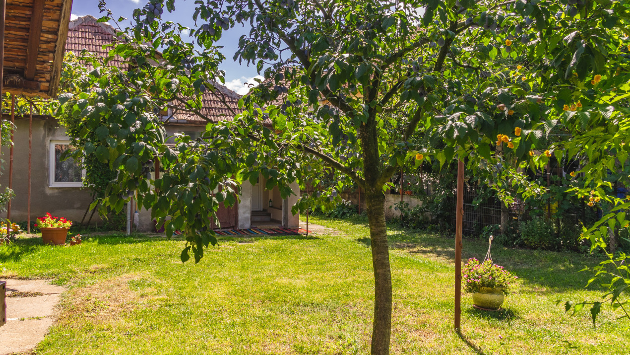 Casă individuală de vânzare str. Cărămidăriei, Sibiu