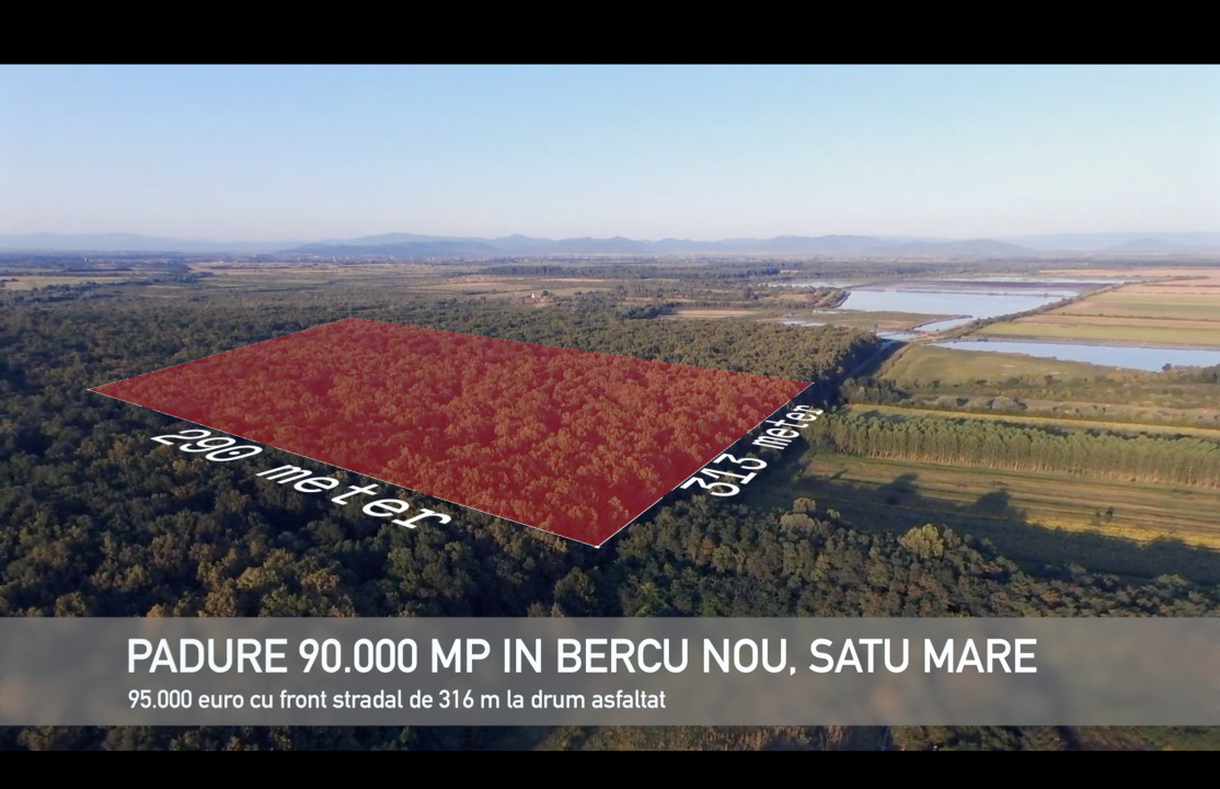 Pădure lângă Granița HU/RO/UA 90.000 mp Bercu Nou, Satu Mare 447196