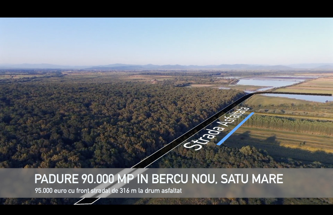 Pădure lângă Granița HU/RO/UA 90.000 mp Bercu Nou, Satu Mare 447196