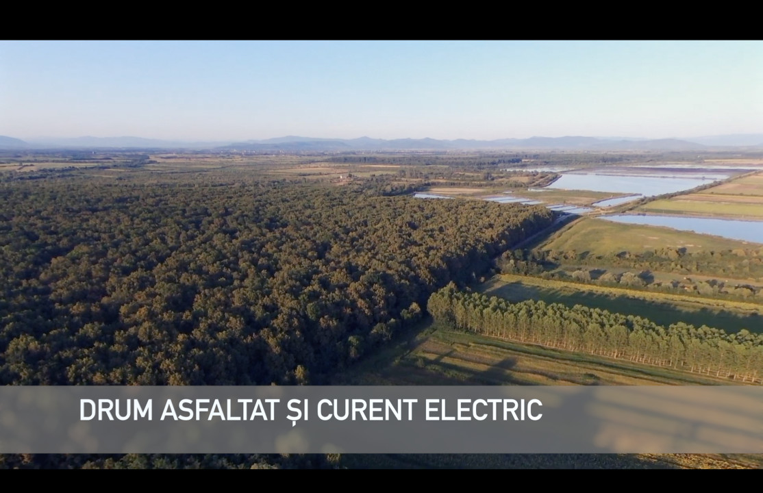 Pădure lângă Granița HU/RO/UA 90.000 mp Bercu Nou, Satu Mare 447196