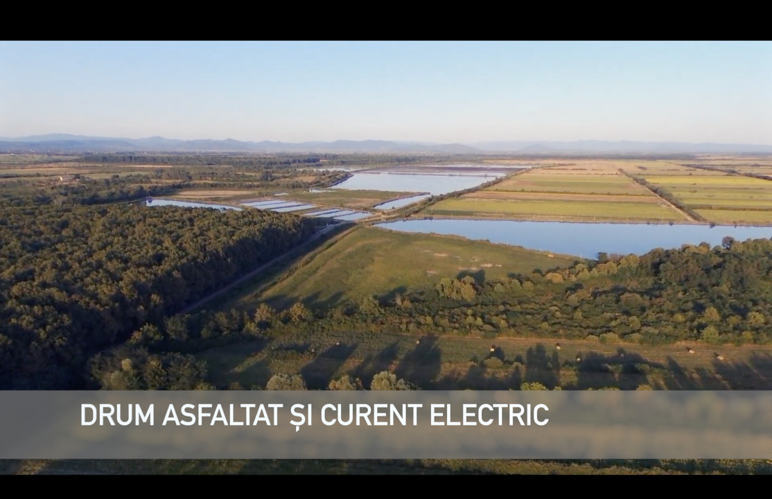 Pădure lângă Granița HU/RO/UA 90.000 mp Bercu Nou, Satu Mare 447196