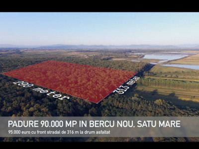 Pădure lângă Granița HU/RO/UA 90.000 mp Bercu Nou, Satu Mare 447196