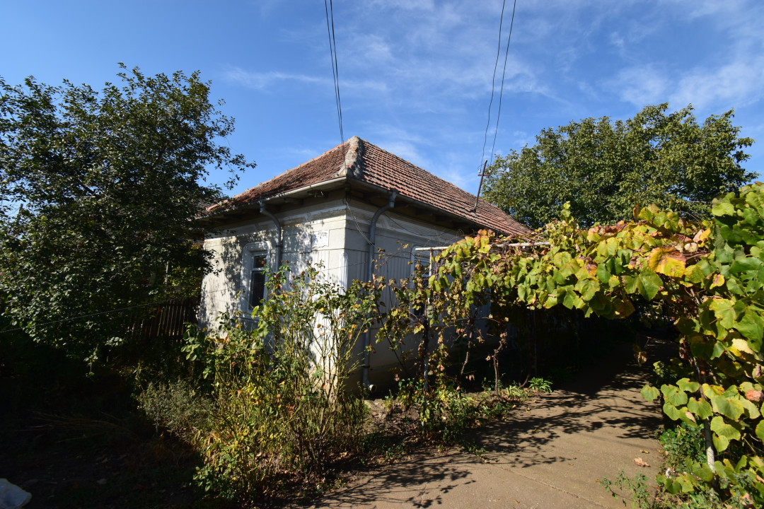 Casa 7 camere, teren 1700 mp, vie, gradina, fantana - Afumati Dolj