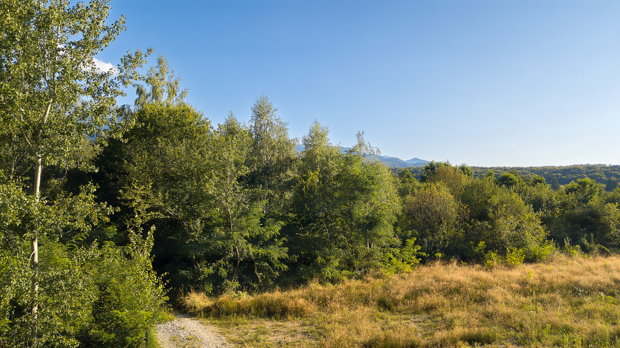 Teren intravilan - Valea Avrigului - 1300 mp