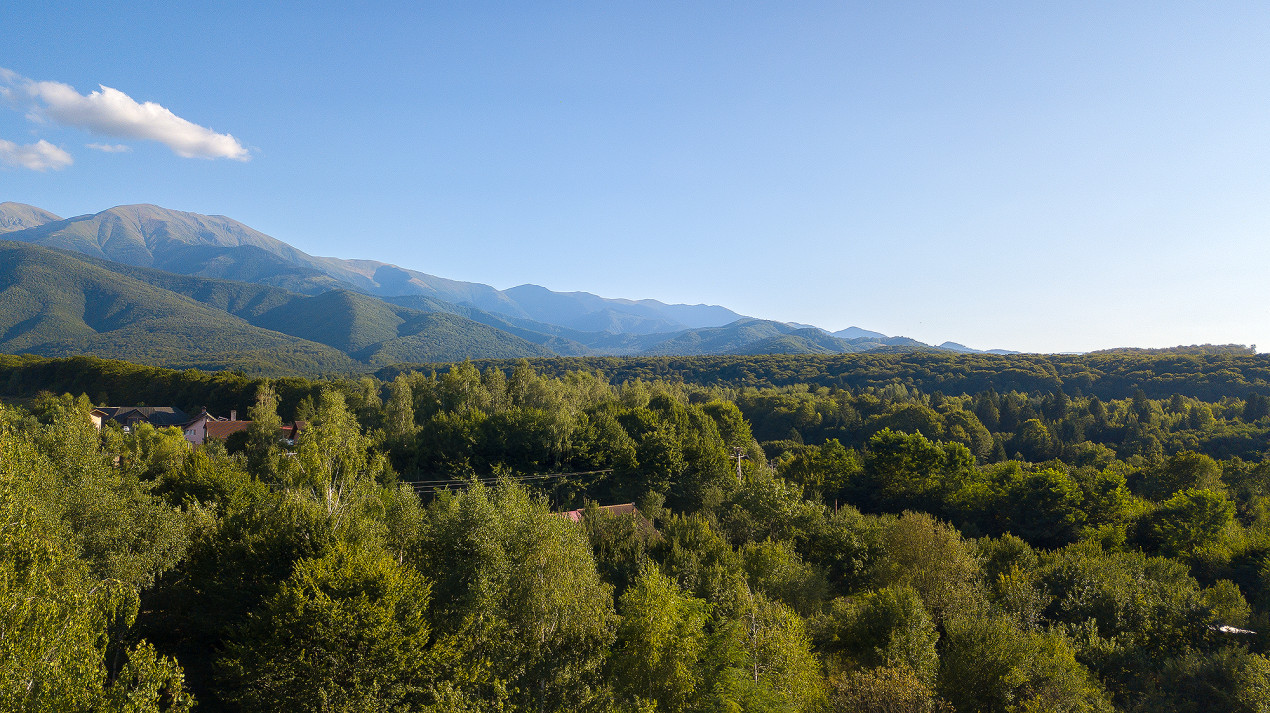 Teren intravilan - Valea Avrigului - 1300 mp