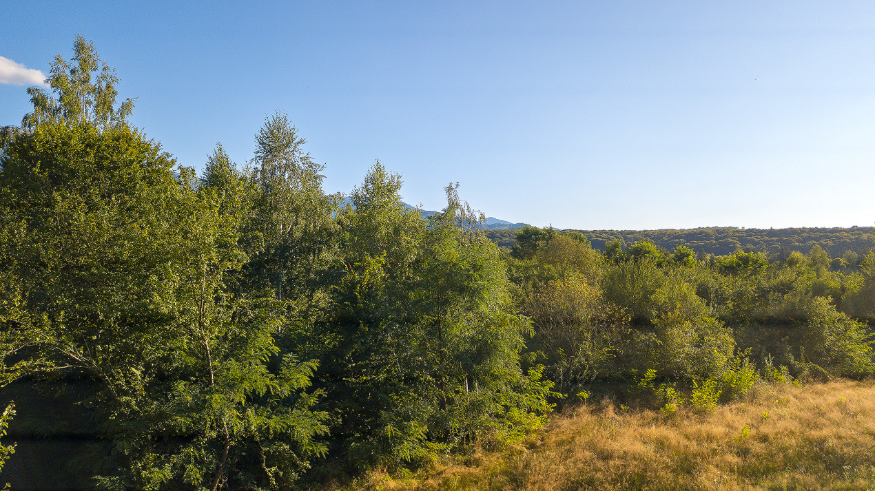 Teren intravilan - Valea Avrigului - 1300 mp