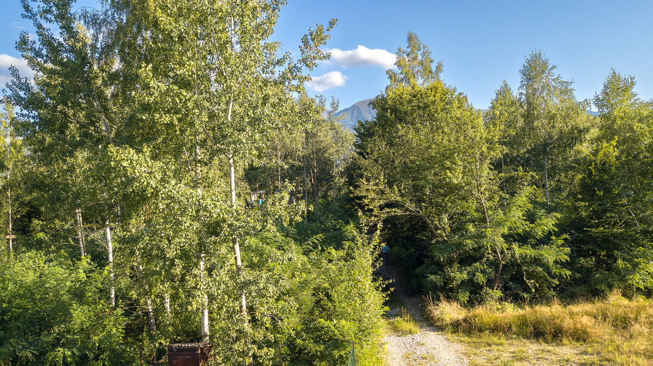 Teren intravilan - Valea Avrigului - 1300 mp