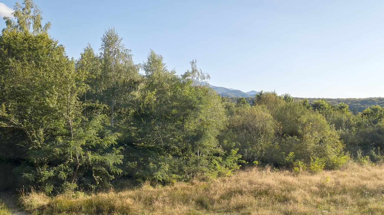 Teren intravilan - Valea Avrigului - 1300 mp