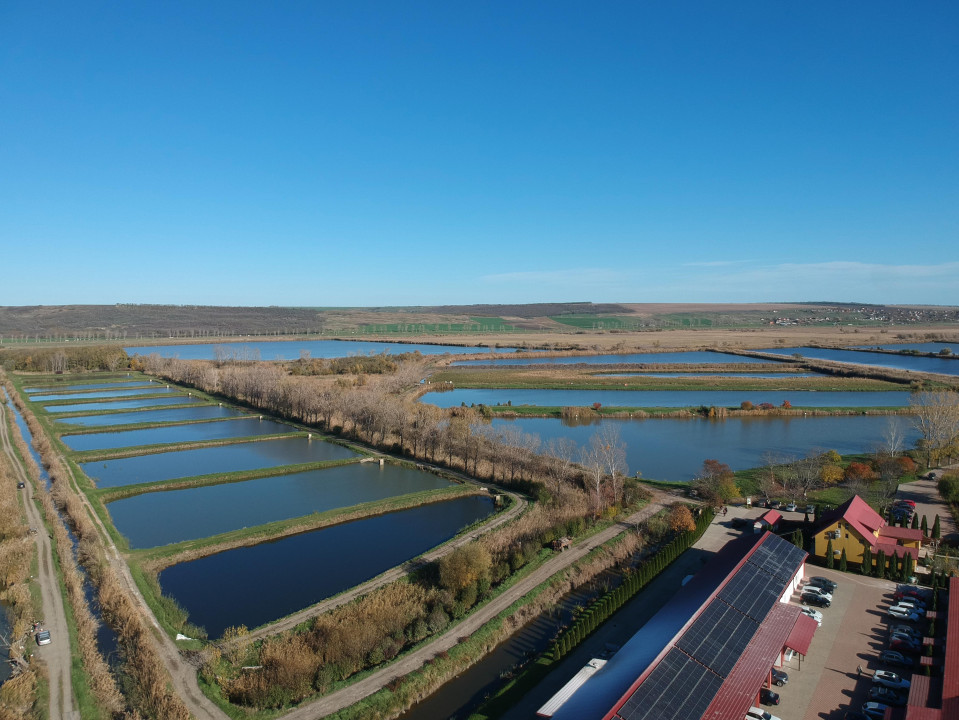 Delta Moldovei – Investiția Perfectă în Natură, Ecoturism și Dezvoltare Durabilă