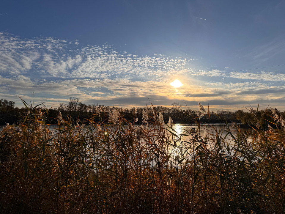 Delta Moldovei – Investiția Perfectă în Natură, Ecoturism și Dezvoltare Durabilă