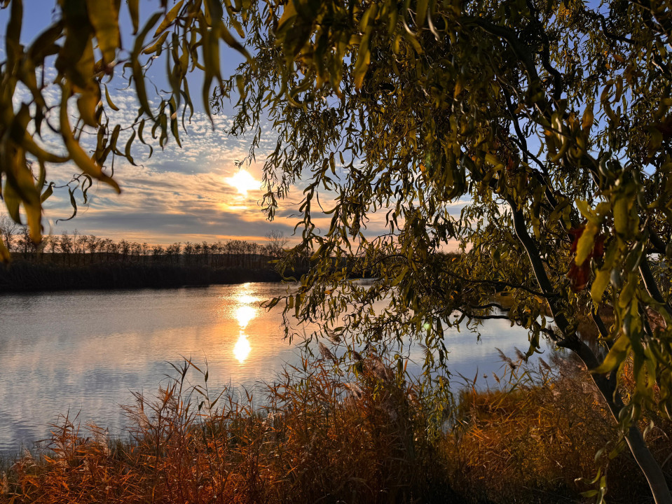 Delta Moldovei – Investiția Perfectă în Natură, Ecoturism și Dezvoltare Durabilă