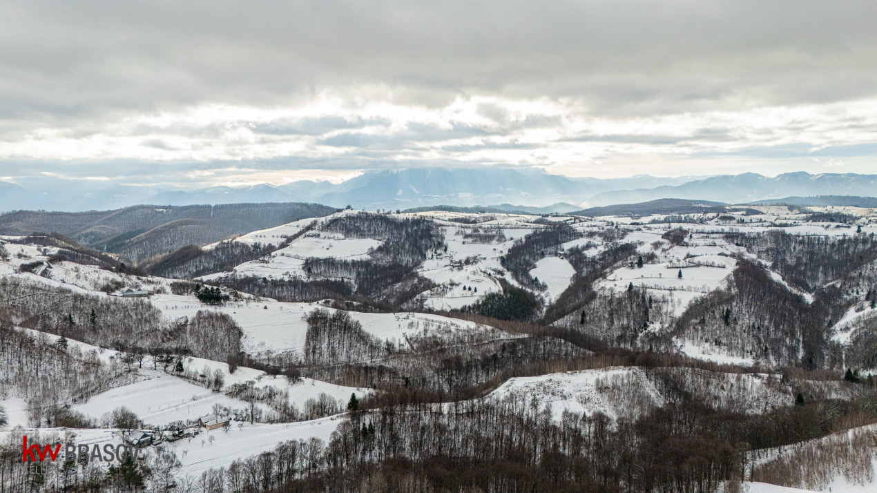 Teren Extravilan Poiana Marului zona Vulcanita