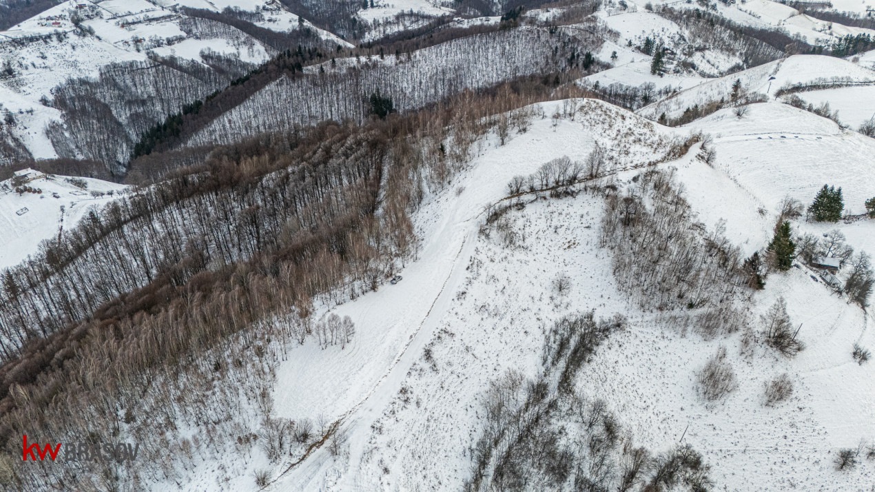 Teren Extravilan Poiana Marului  include varful Cetatuia 942m, zona Vulcanita