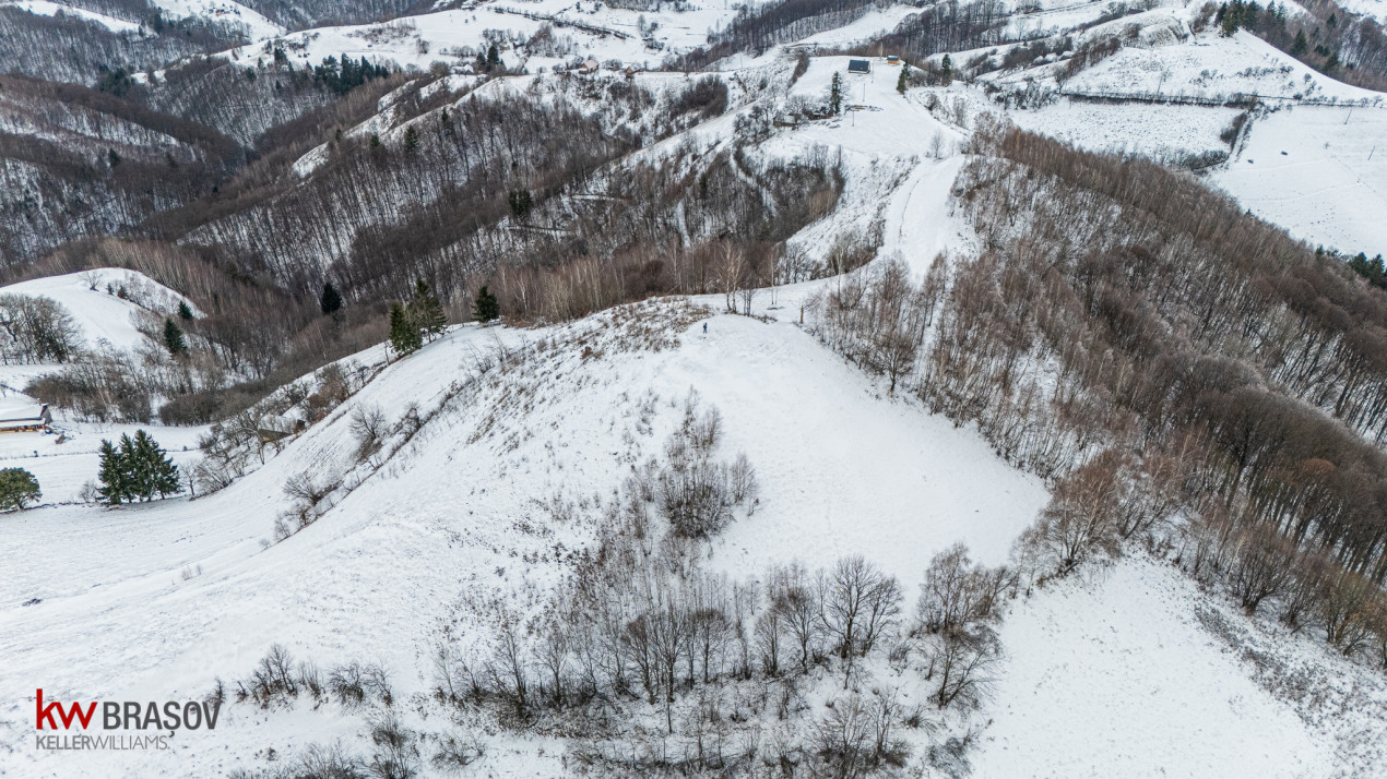 Teren Extravilan Poiana Marului  include varful Cetatuia 942m, zona Vulcanita