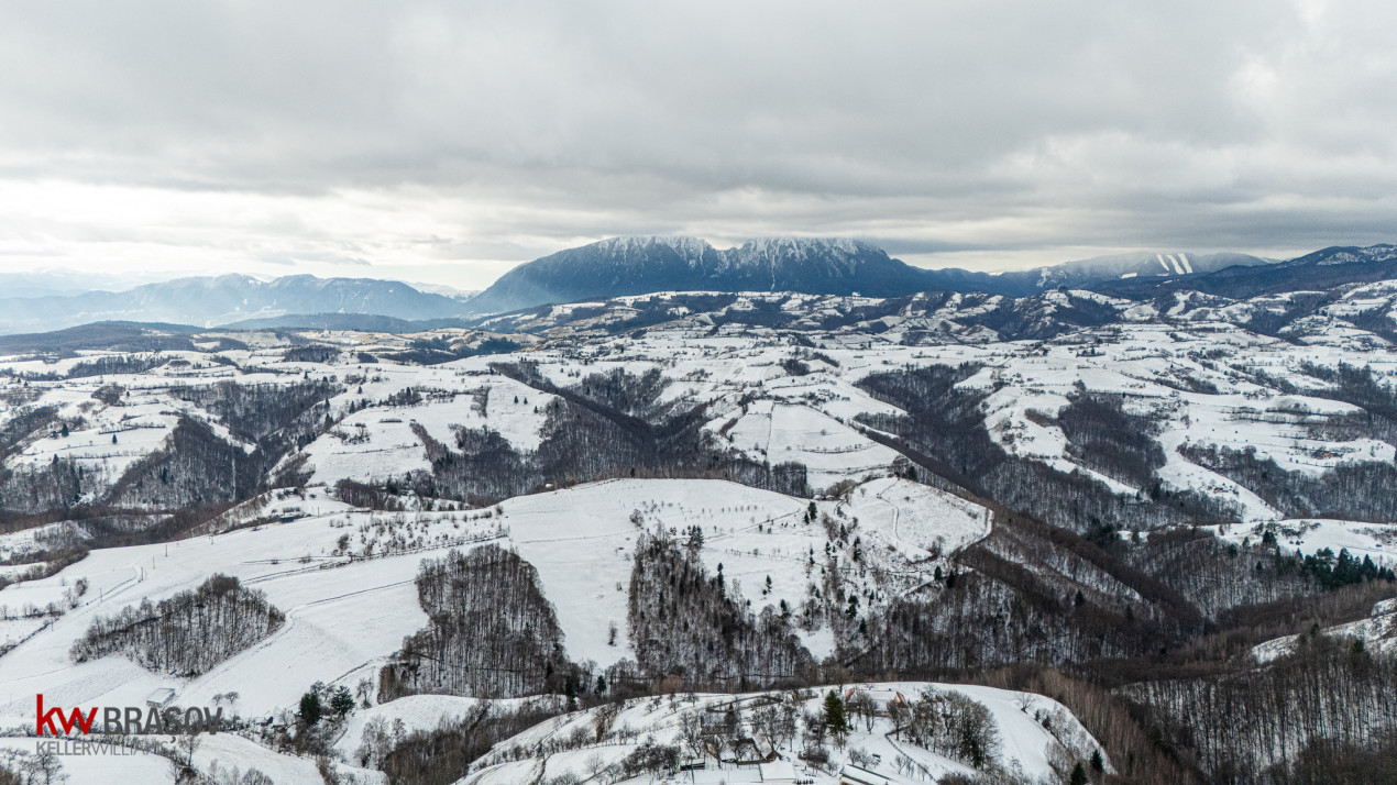 Teren Extravilan Poiana Marului  include varful Cetatuia 942m, zona Vulcanita