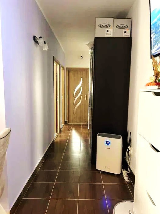 Apartament cu 2 dormitoare, mobilat si utilat, pe Doamna Stanca, comision 0 